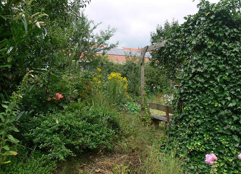 Le CPIE Bocage de l’Avesnois recherche des jardiniers au naturel