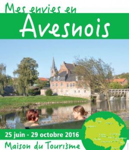 Affiche Mes envieswebcm