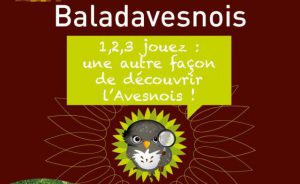 Affiche A3-2017 Baladavesnoisweb
