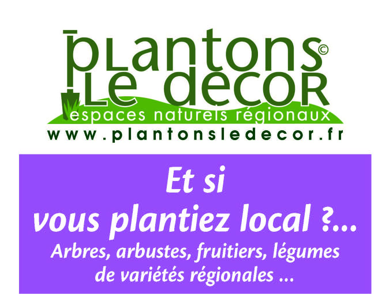 Plantons le décor, c'est parti !