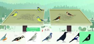 BirdLab_protocole