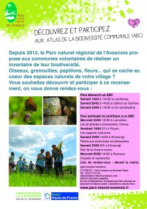Flyer ABC 2018