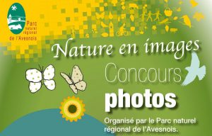 concours photowebs