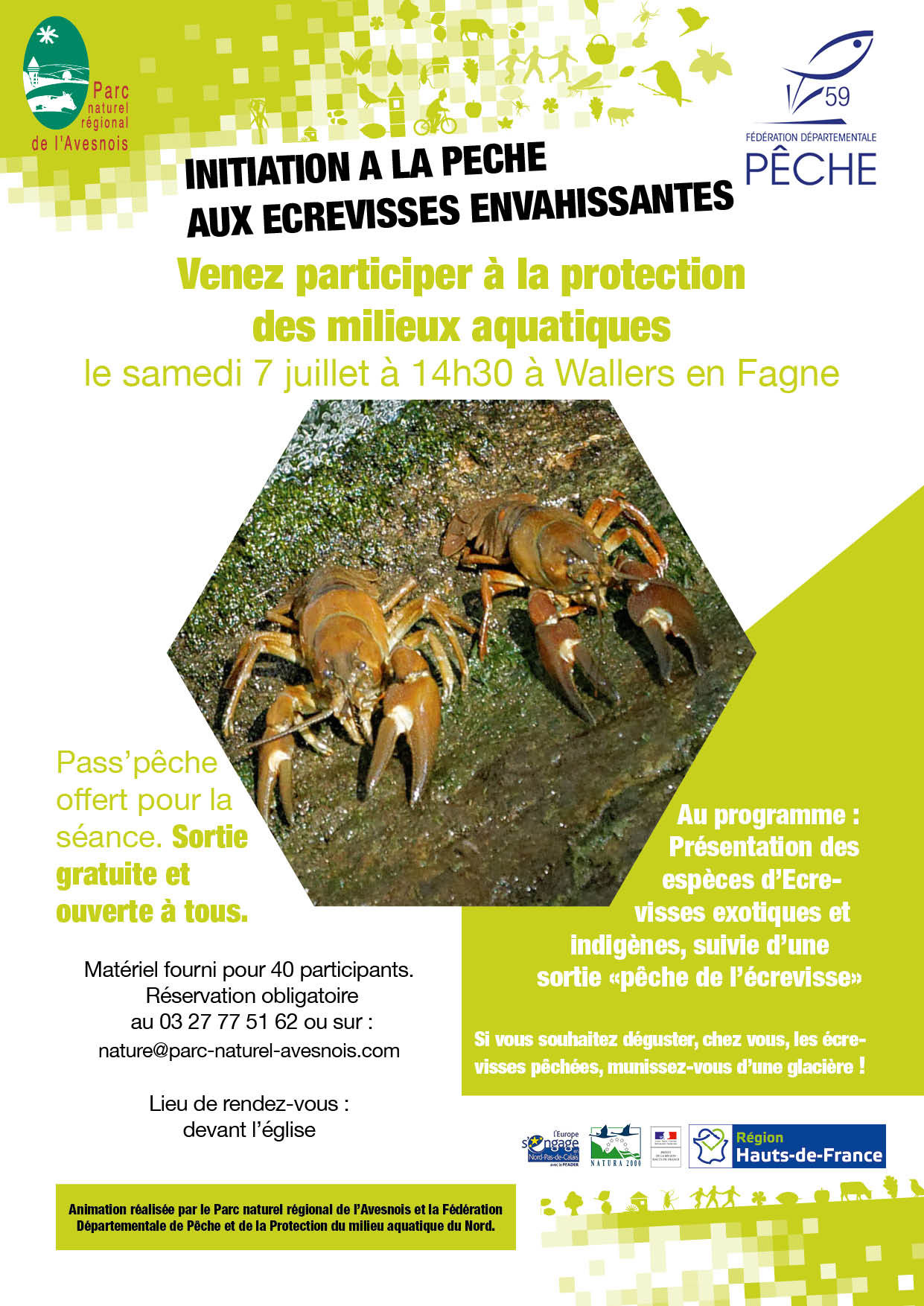 Ecrevisses wallers en Fagne