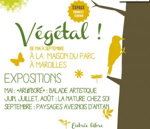 Flyers vegeta webl