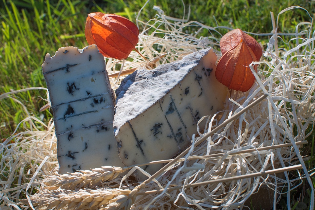 Le Pavé Bleu : un fromage de Bleue !