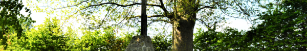 Frasnoy – Calvaire png