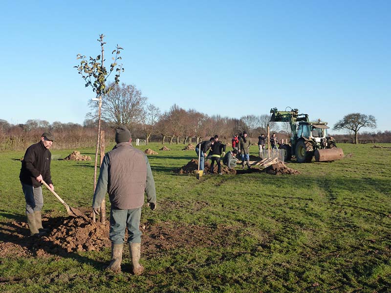 Plantation Sains du Nord - Photo : Stéphane Marache