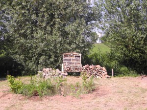 DSCN1912