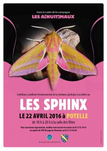 A3 Sphinx potelle 1