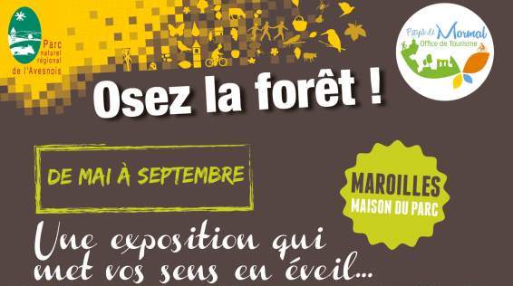 Exposition : « Osez la forêt » | Parc naturel régional de l'Avesnois