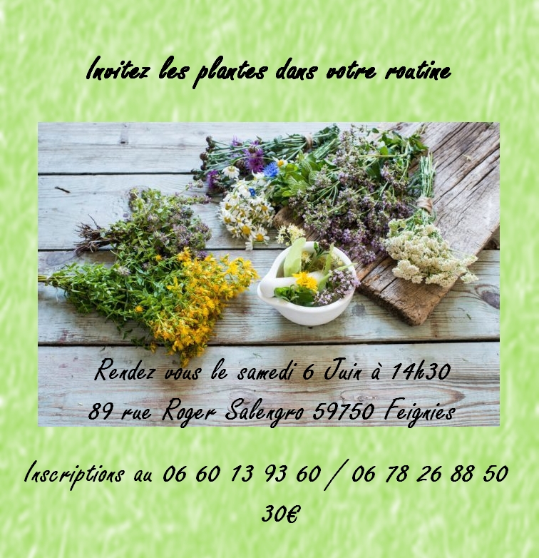 Invitez les plantes dans votre routine @ FEIGNIES